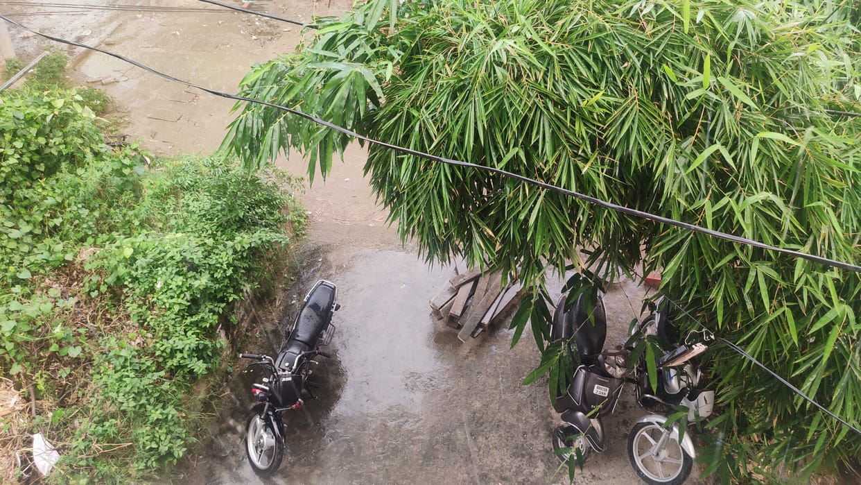 Rain