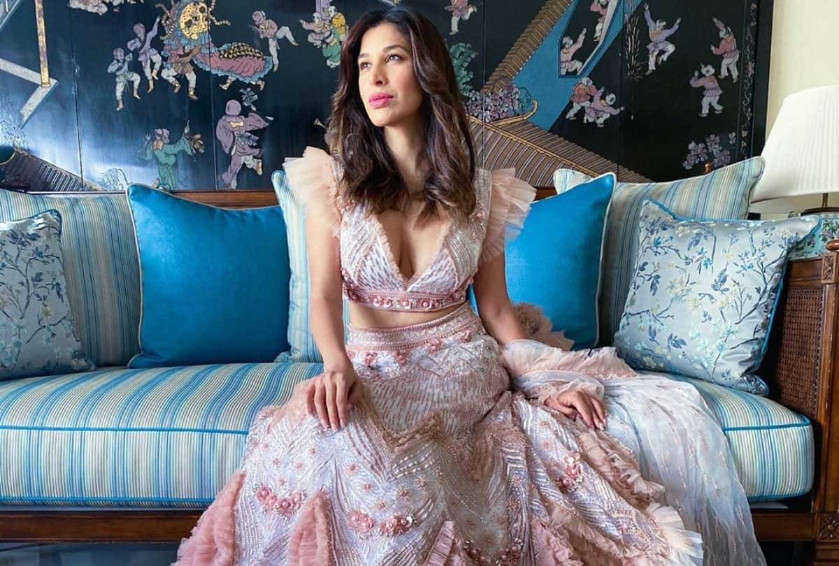 sophie chaudhary stylish glamorous pics white brown gown images hd