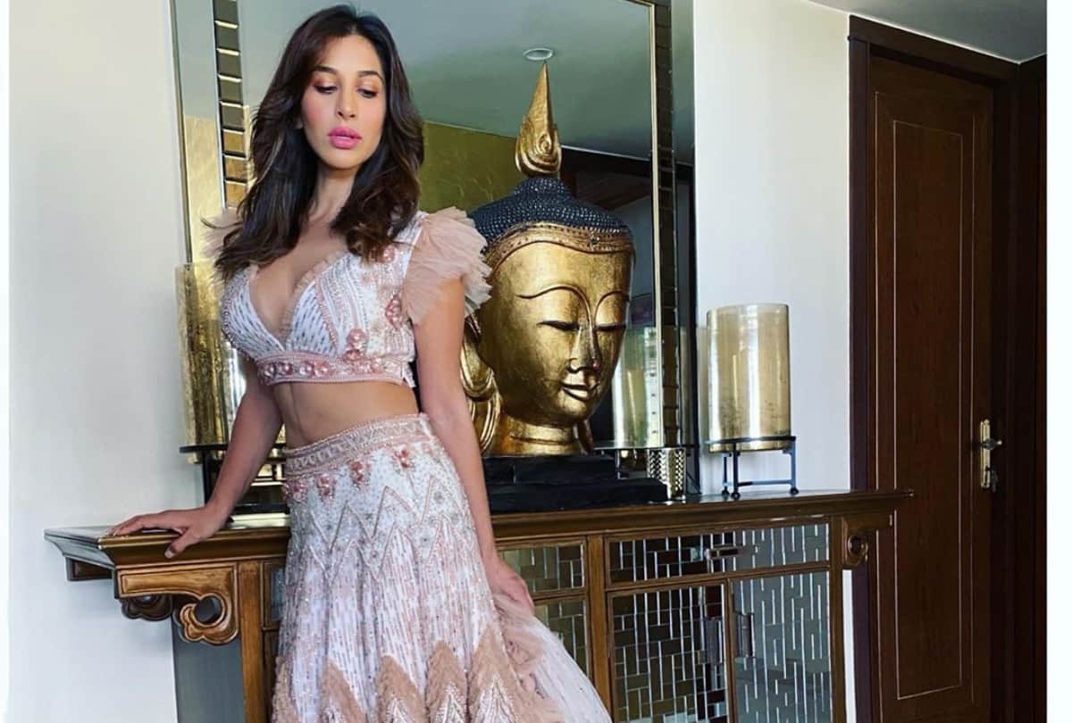 sophie chaudhary stylish glamorous pics white brown gown images hd