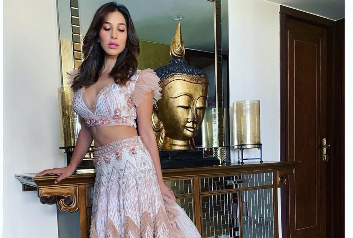 sophie chaudhary stylish glamorous pics white brown gown images hd