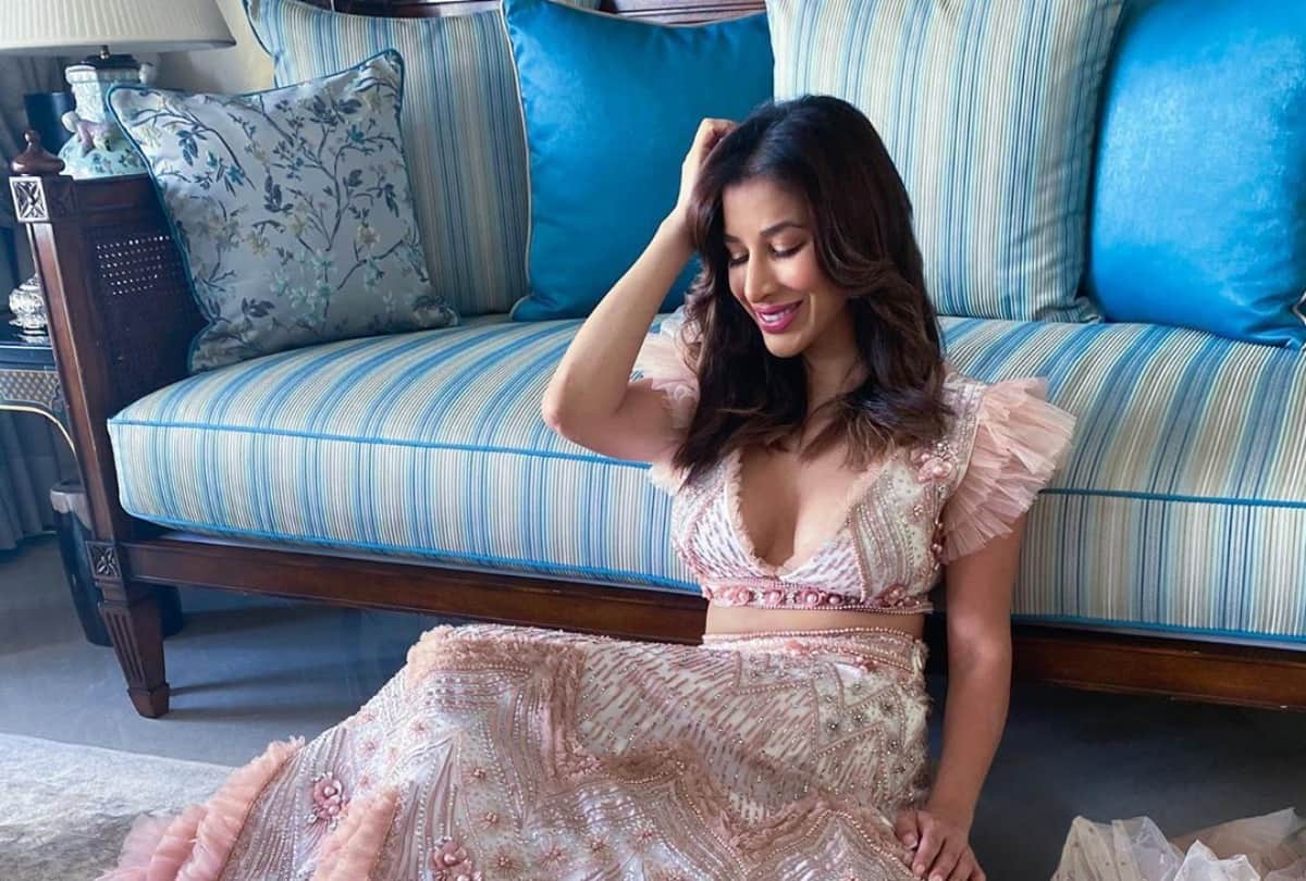 sophie chaudhary stylish glamorous pics white brown gown images hd