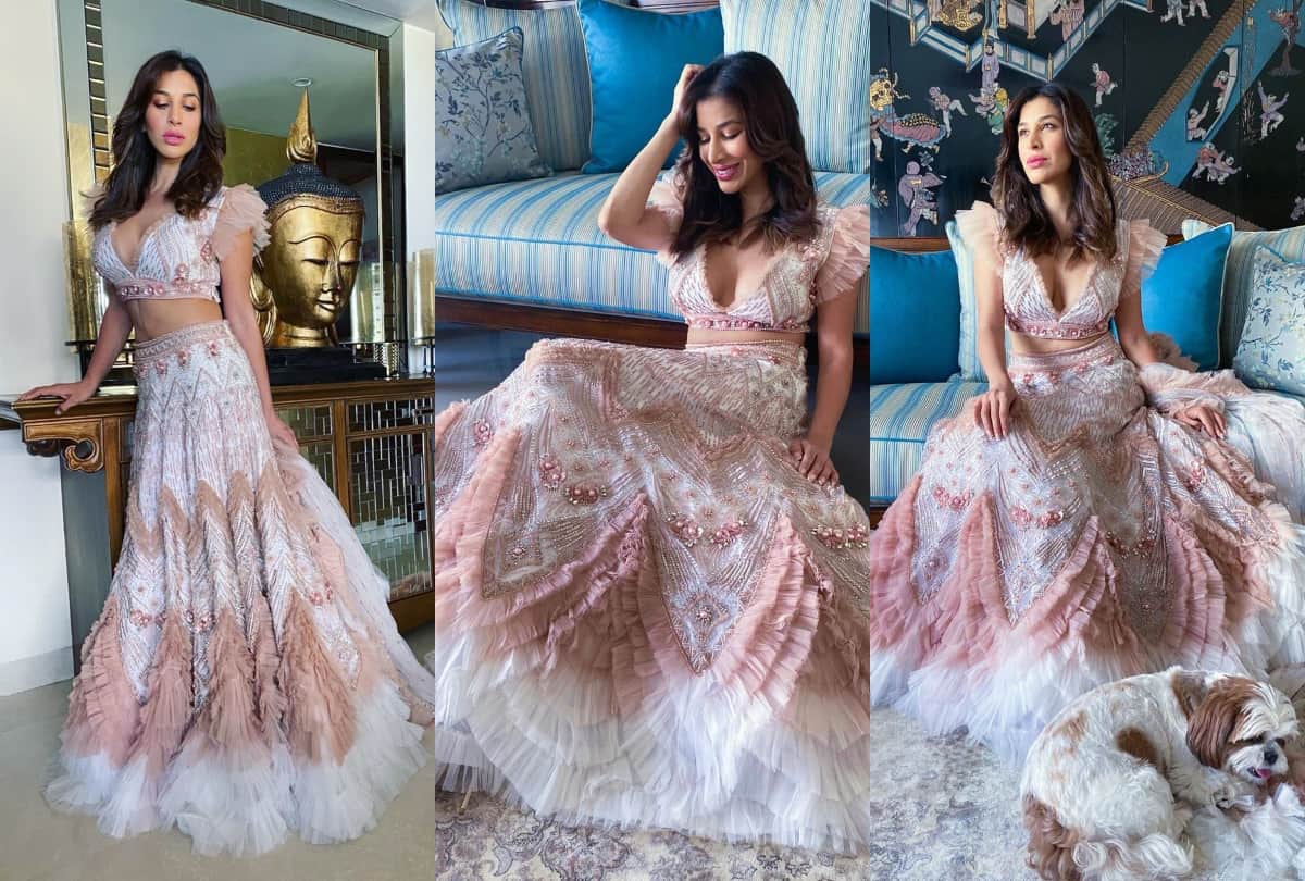 sophie chaudhary stylish glamorous pics white brown gown images hd