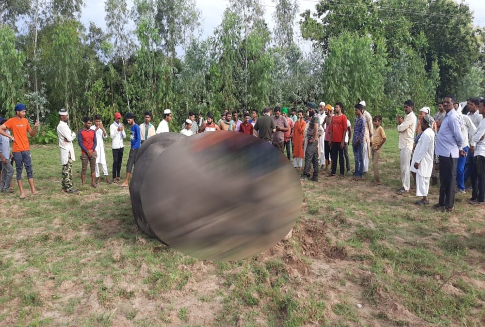 Roorkee News: 15 year old Sick Elephant death Today