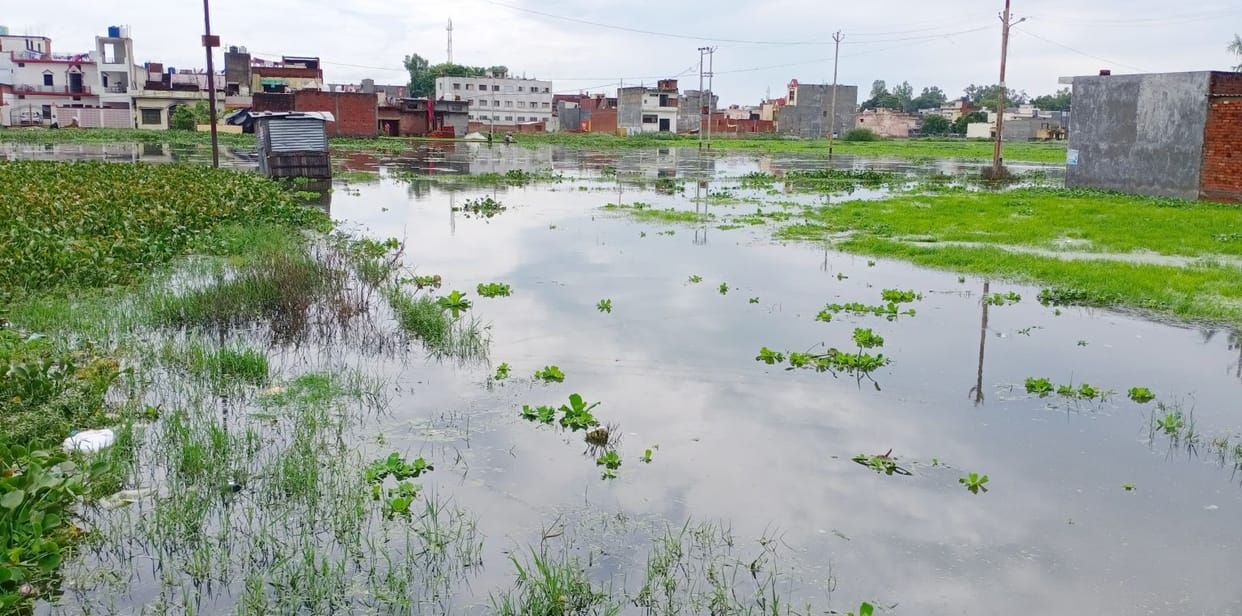 Civic Amenities