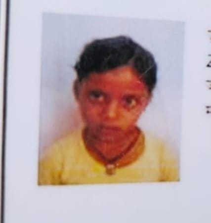 Teenager drowned in Betwa river, search continues