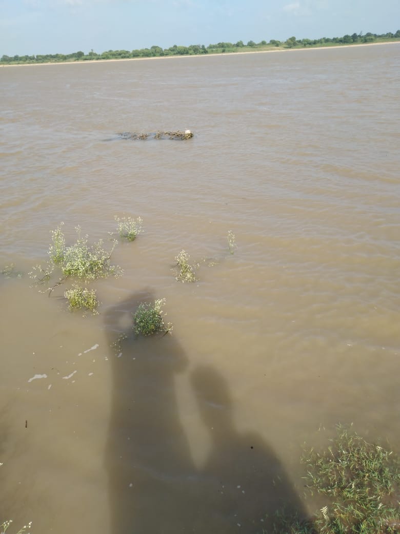 The Betwa river starts to look like a rage, a threat loomed