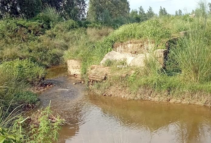 Rajbehe's broken bridge became the trouble of the villagers