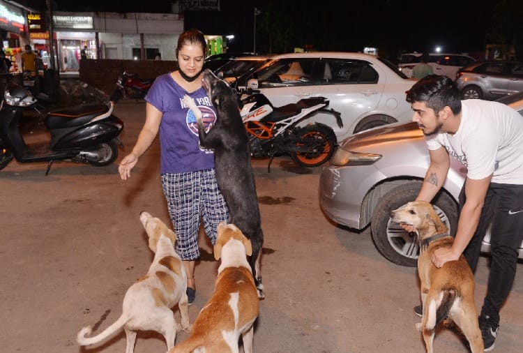People of Panchkula are giving message of animal love