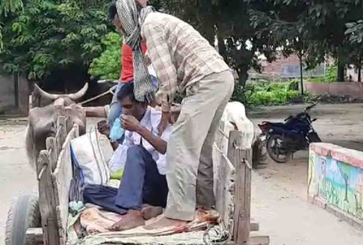 ambulance did not arrive, family members brought the patient to the hospital with bullock cart