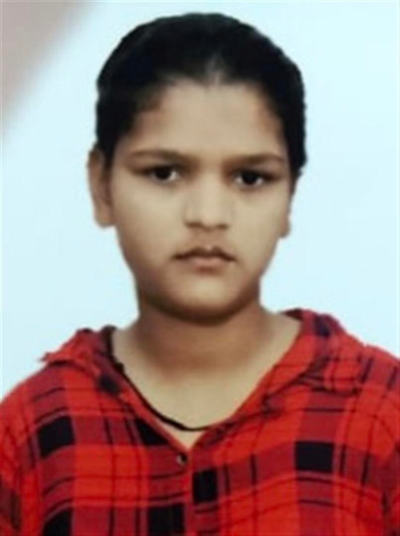 Teenager killed by shoveling