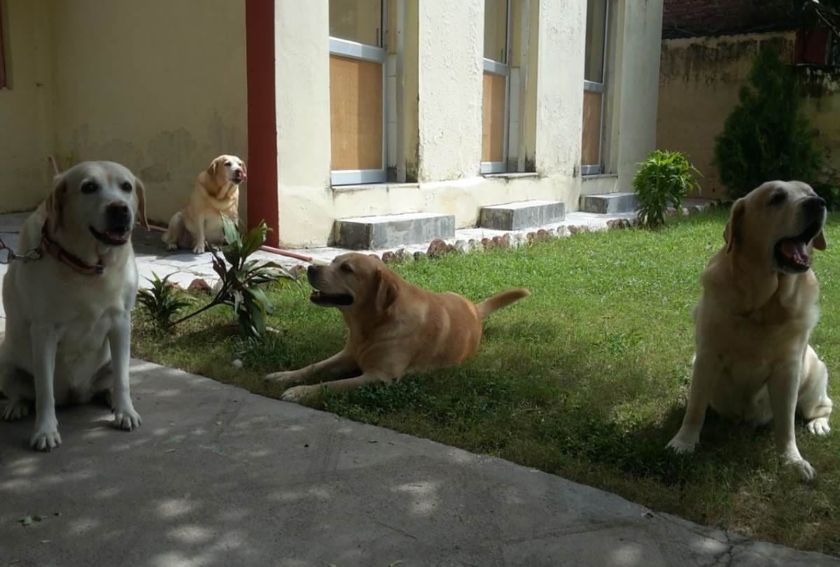 two dogs retired after eight years of service from CISF at amausi airport, officers became emotional