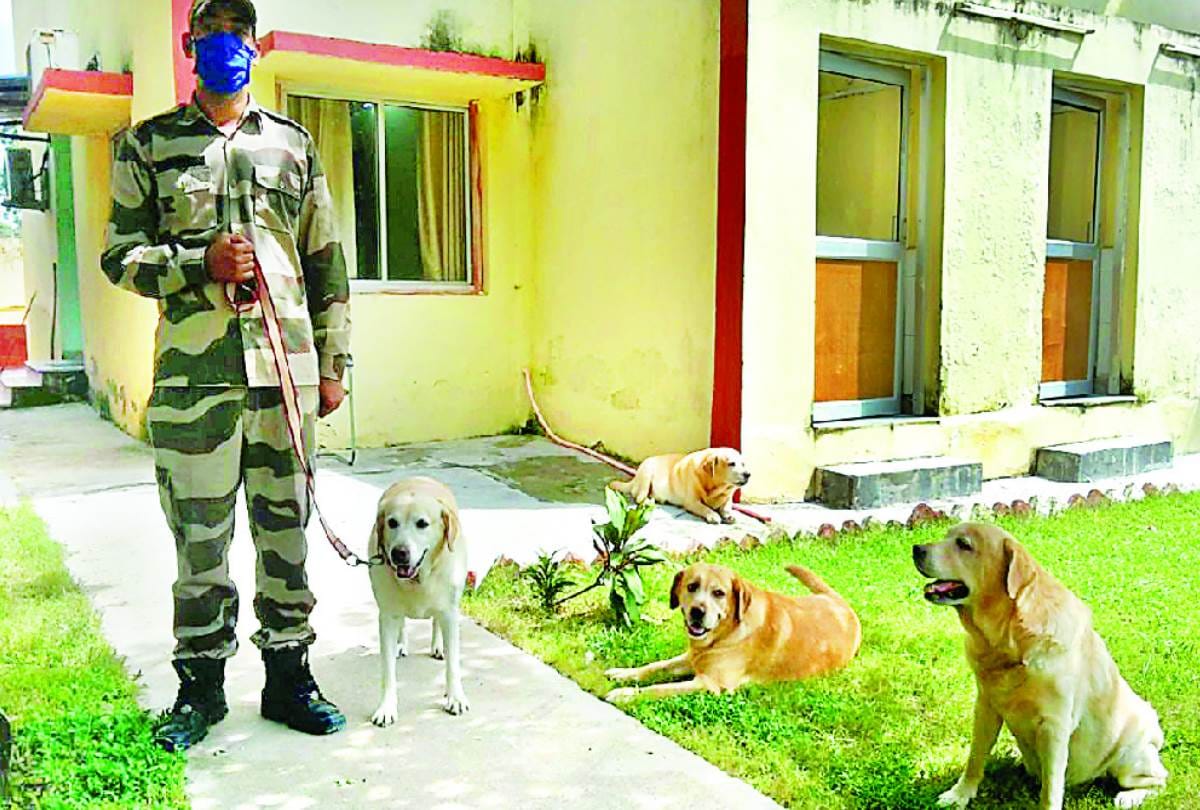 two dogs retired after eight years of service from CISF at amausi airport, officers became emotional