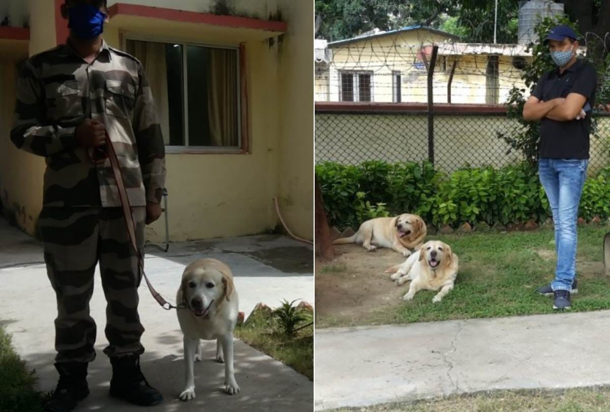 two dogs retired after eight years of service from CISF at amausi airport, officers became emotional