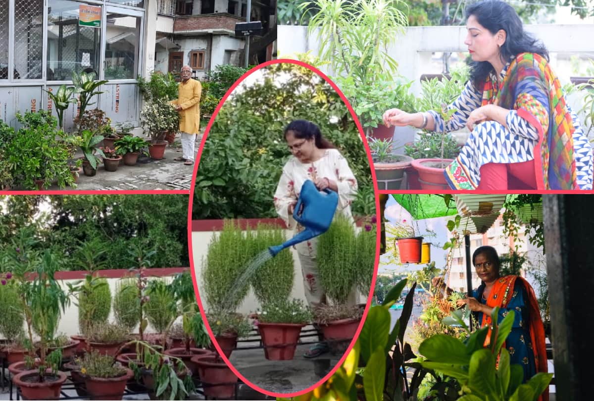 Special story of Gardening by Pro. Sudha Yadav, Pushpadanta Jain, Vandana Gupta and Nusrat Atiq in gorakhpur