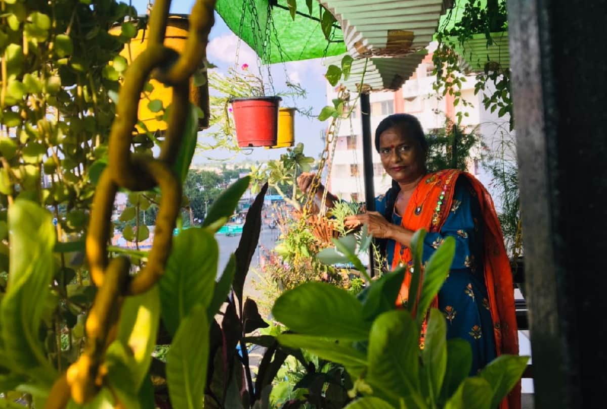 Special story of Gardening by Pro. Sudha Yadav, Pushpadanta Jain, Vandana Gupta and Nusrat Atiq in gorakhpur