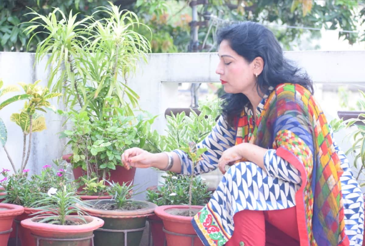 Special story of Gardening by Pro. Sudha Yadav, Pushpadanta Jain, Vandana Gupta and Nusrat Atiq in gorakhpur