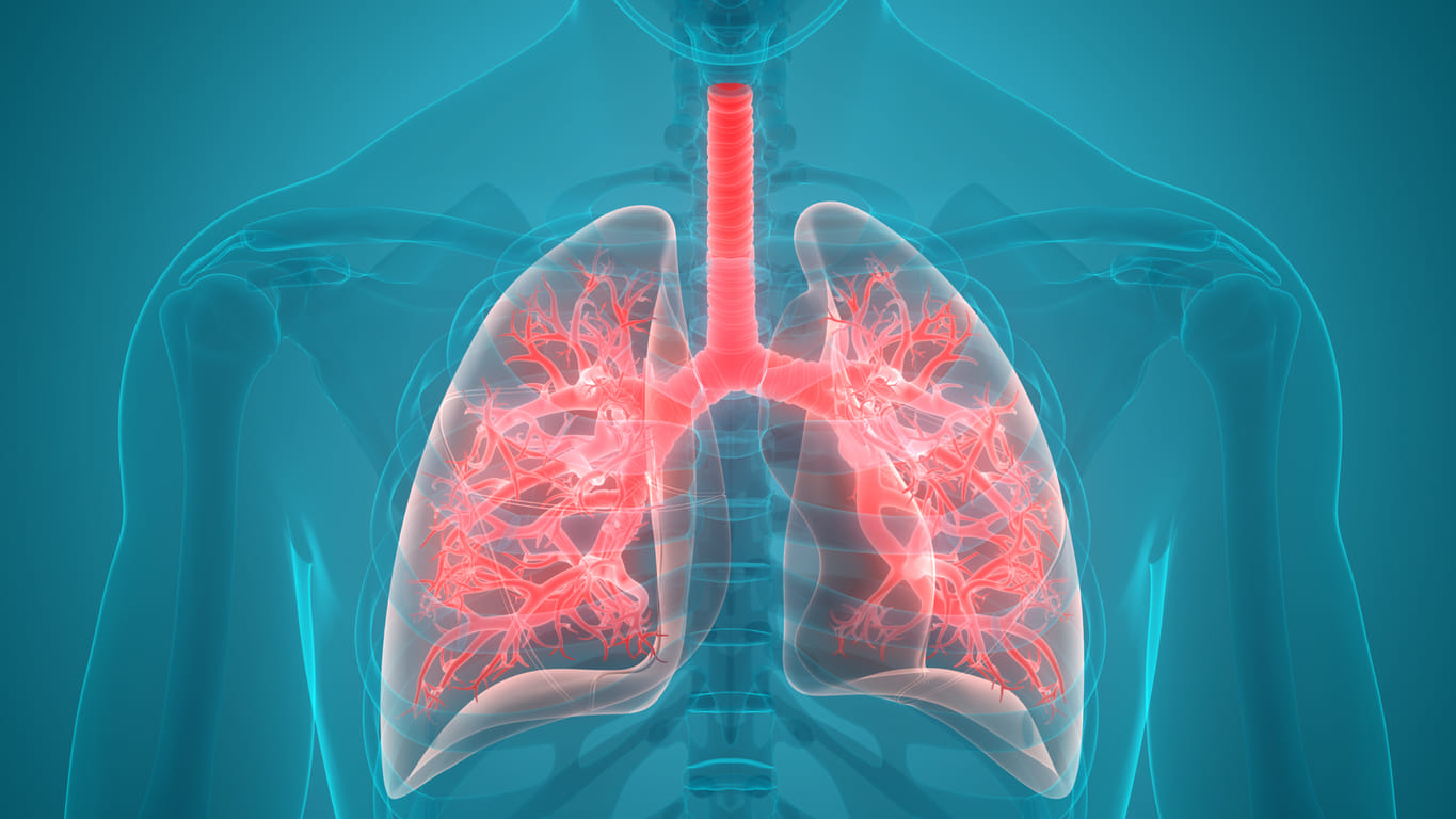 Interesting facts about breath system How Many Breaths Do You Take Each Day, know all about breathing system