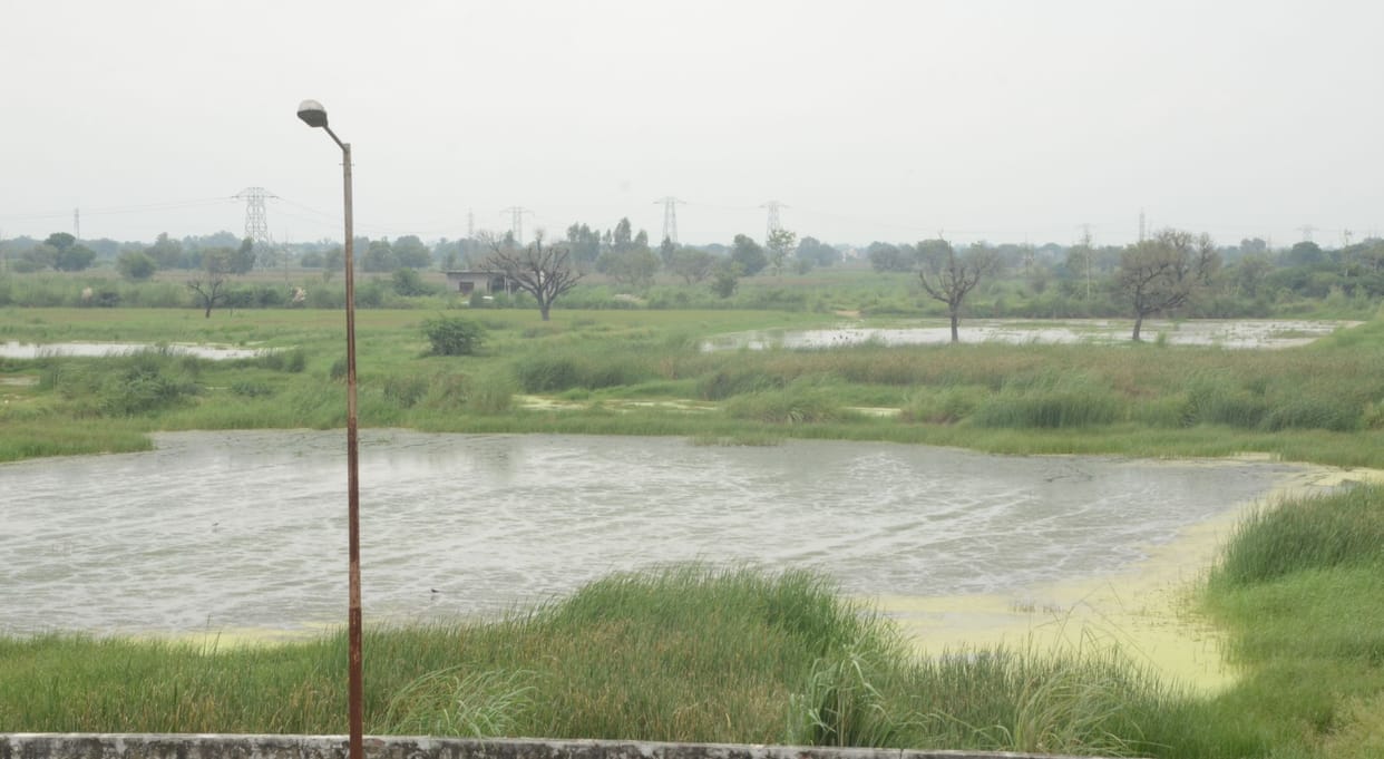 No drain of contaminated water