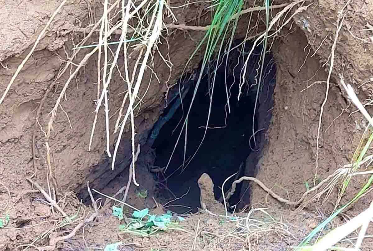 Jammu and Kashmir, NIA team reviews international border in Samba, team reached after tunnel found