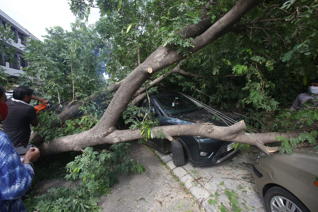 Tree fell on car in Sector 21D, electric pole also damaged