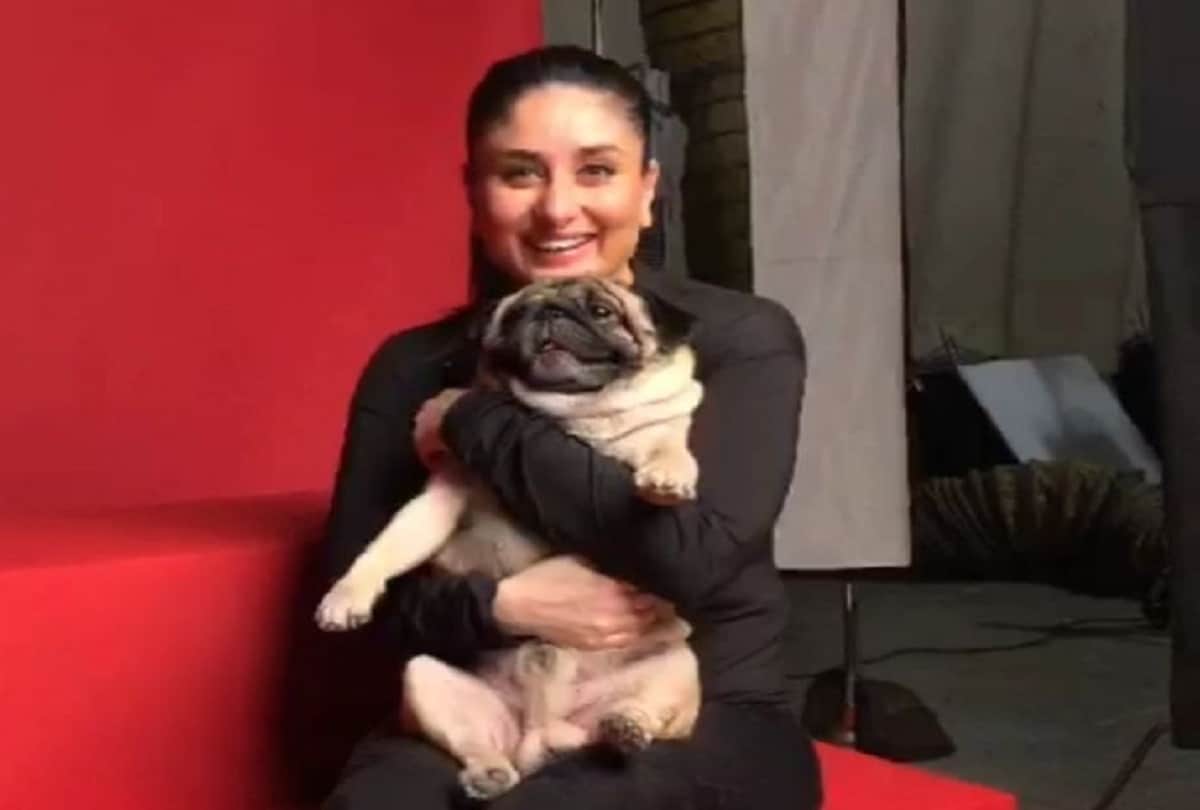 kareena kapoor shooting with co star leo actress a cute video with her Pug dog leo