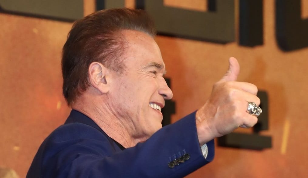 Arnold Schwarzenegger will seen in Spy Adventure web Series As Lead Actor