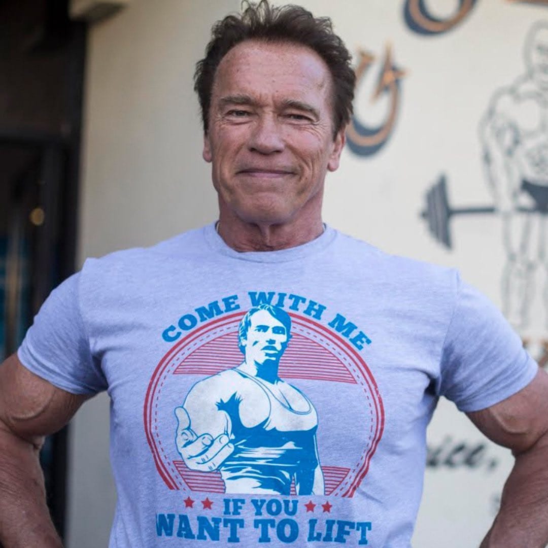 Arnold Schwarzenegger will seen in Spy Adventure web Series As Lead Actor