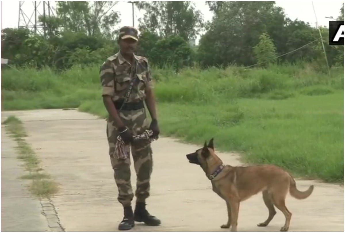 Canine squad of CISF include Belgian Malinois dog to guard Delhi Metro