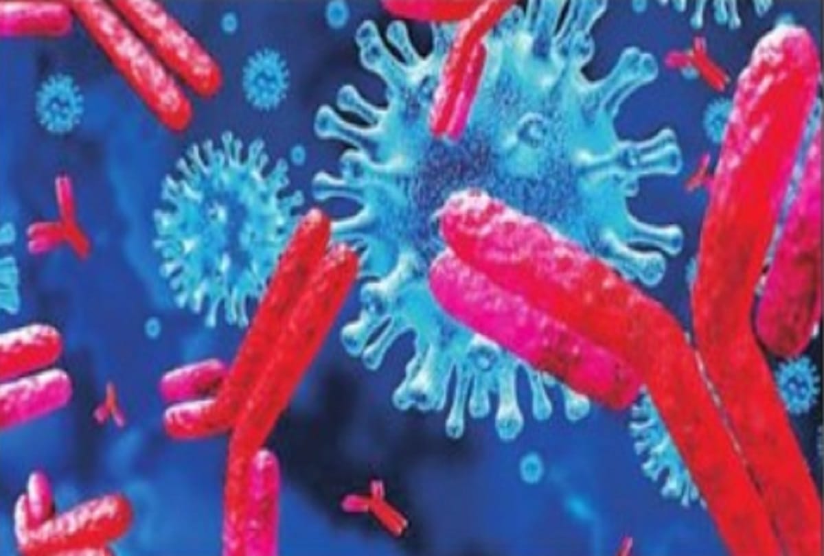 More antibodies found in women than men