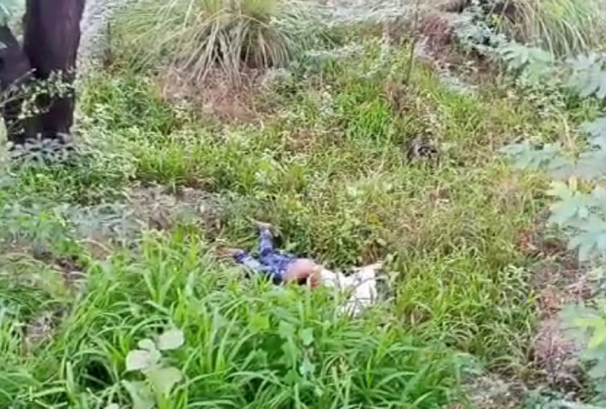 Couple and son died in bike collision two people injured in mathura