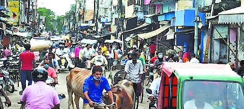 Businessmen got the wish, the market will open six days a week