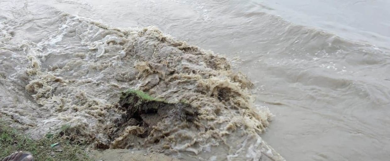 river biting in basti