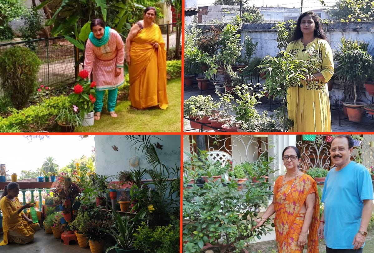 Special story of Gardening by Dr. Mita Aggarwal, Dr. Reena, Rachna and Ankita see gorakhpur photos
