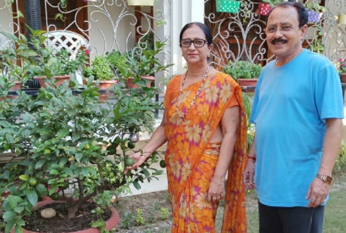 Special story of Gardening by Dr. Mita Aggarwal, Dr. Reena, Rachna and Ankita see gorakhpur photos