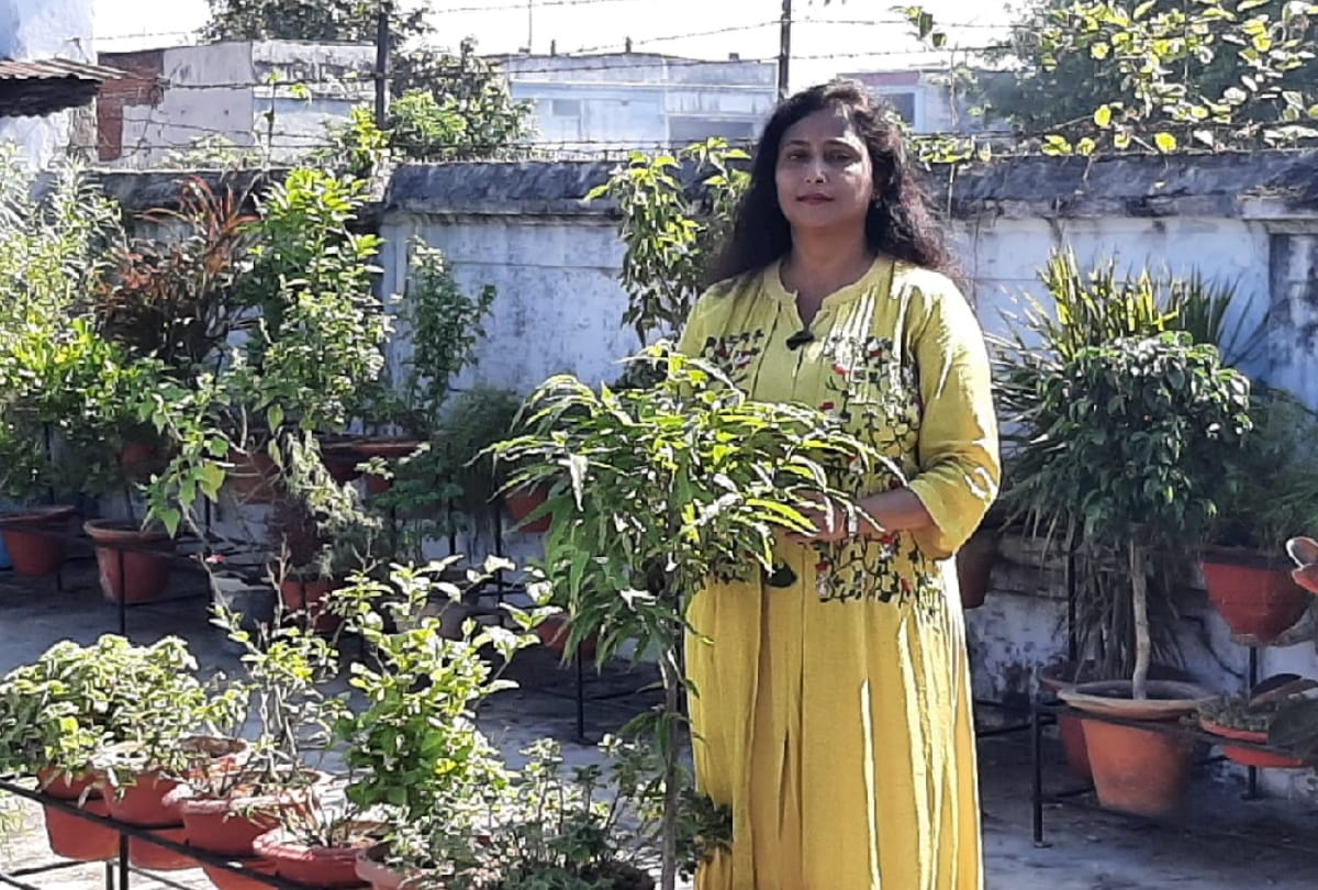 Special story of Gardening by Dr. Mita Aggarwal, Dr. Reena, Rachna and Ankita see gorakhpur photos