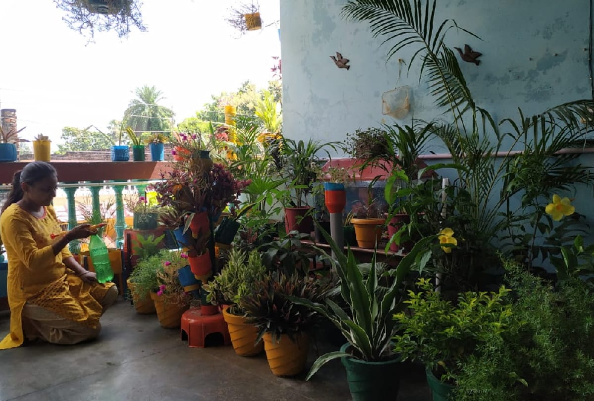 Special story of Gardening by Dr. Mita Aggarwal, Dr. Reena, Rachna and Ankita see gorakhpur photos