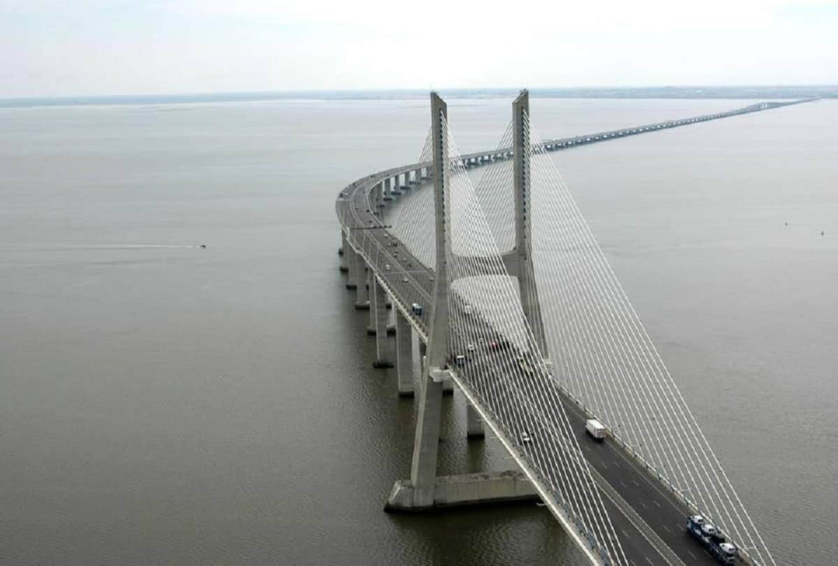 interesting facts about portugal unique library where bats acts as pest control