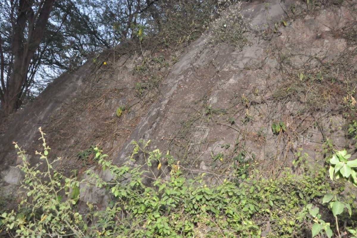 Pandav city Hastinapur was deserted after the war of Mahabharata, devastation caused by fierce flood and fire