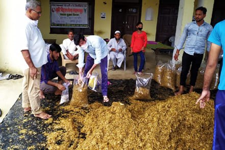Agricultural scientist gave tips for mushroom production