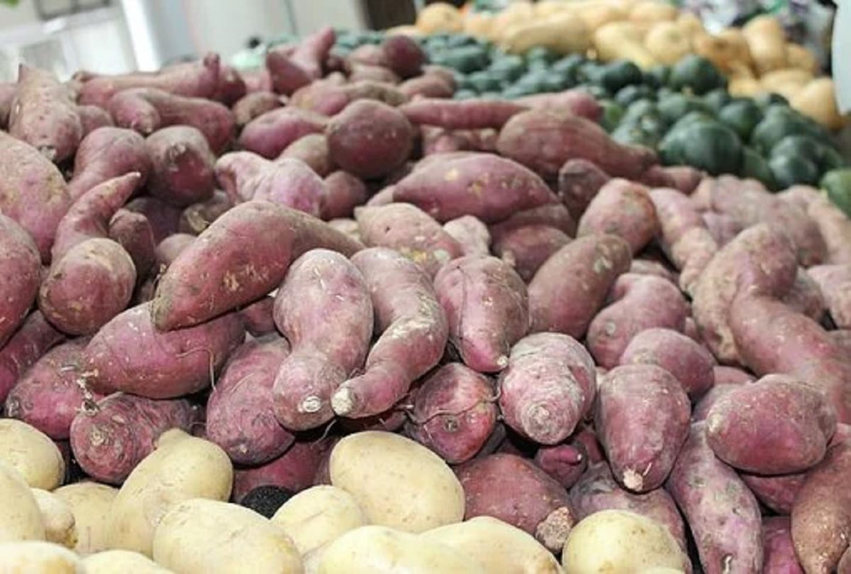coronavirus update these five food help for Normal levels of oxygen in the body