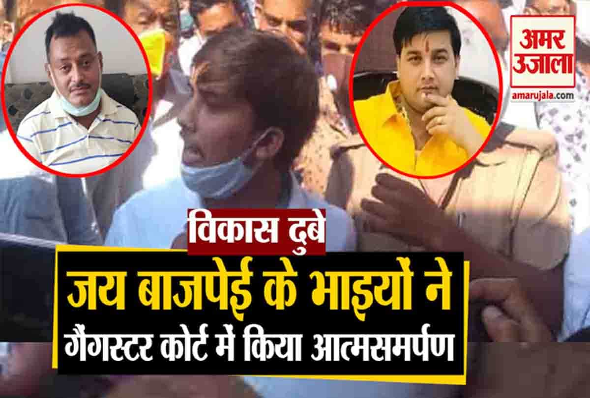 जय बाजपेई के तीनों भाइयों ने कोर्ट में किया आत्मसमर्पण