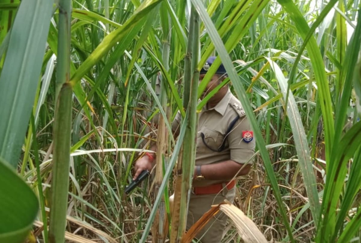 lakhimpur kheri 3 year old girl assault and murder accused arrested in police encounter