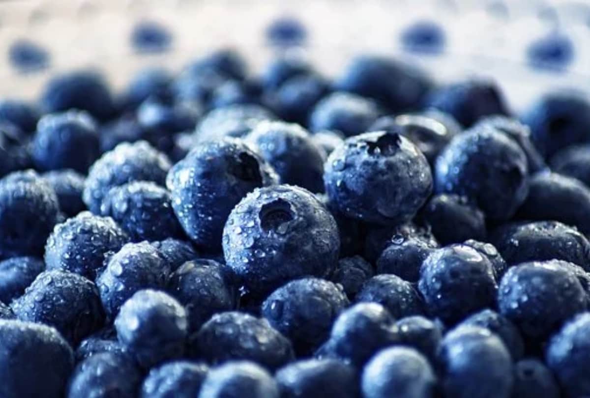 best anti aging foods, know how to stay young and healthy