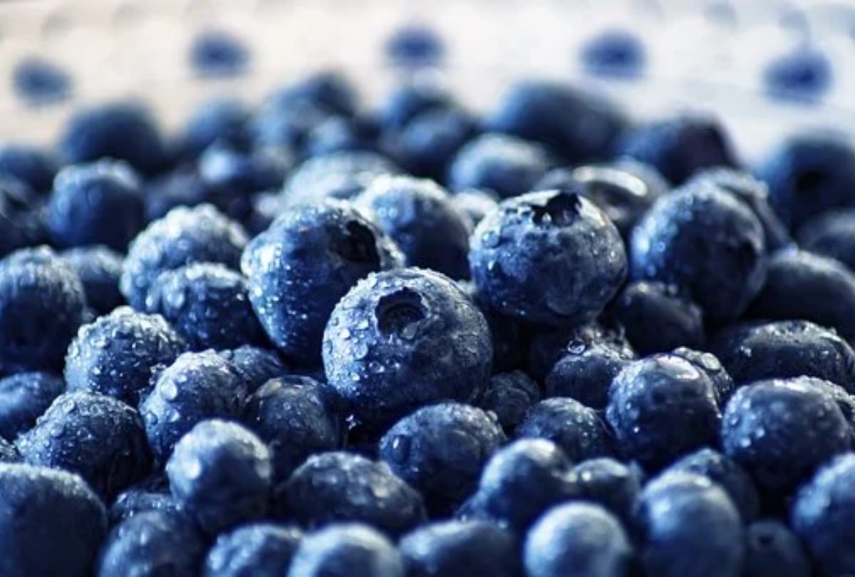 foods that protect against cancer, all you need to know