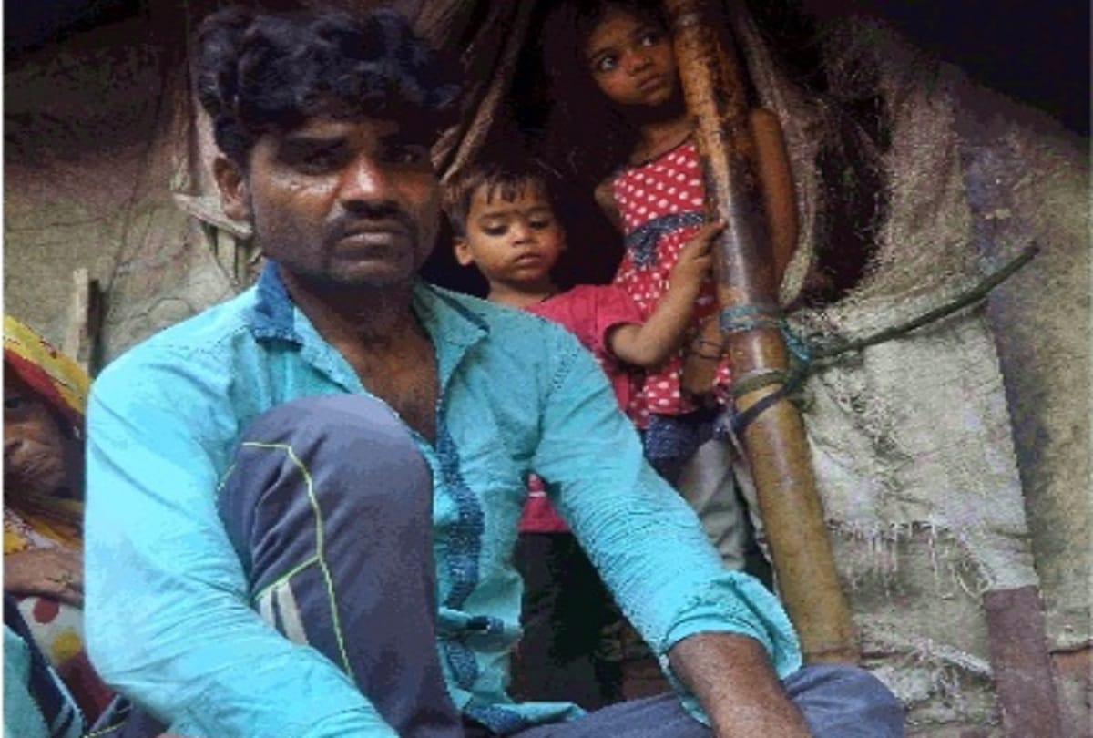 Crazy dog bites 17 people in 15 minutes two and half year old child condition critical see photos