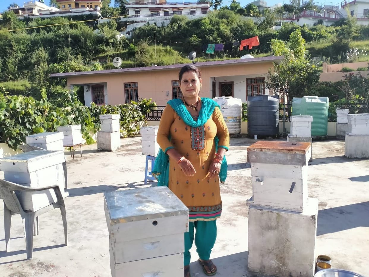Mon Palan in Almora