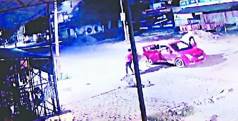 Smugglers carrying bovine animals caught in CCTV cameras caught in car