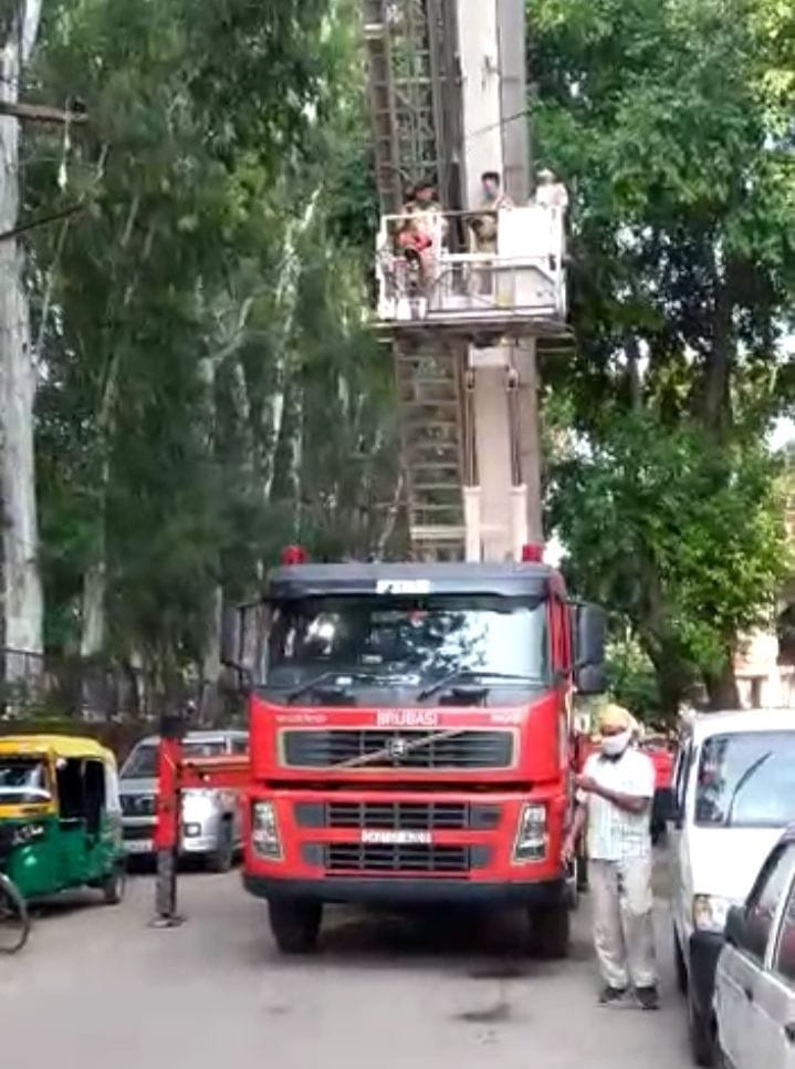 A crow trapped in a Chainese dor in tree branches, a fire worker turned angel, saved his life