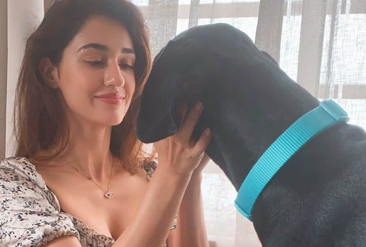 disha patani shares her pic in floral thigh high dress