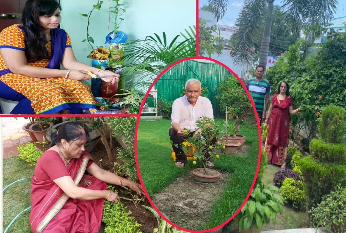 special story of gardening by Doctor Ashish Ghosh preserving wife hobby of gardening